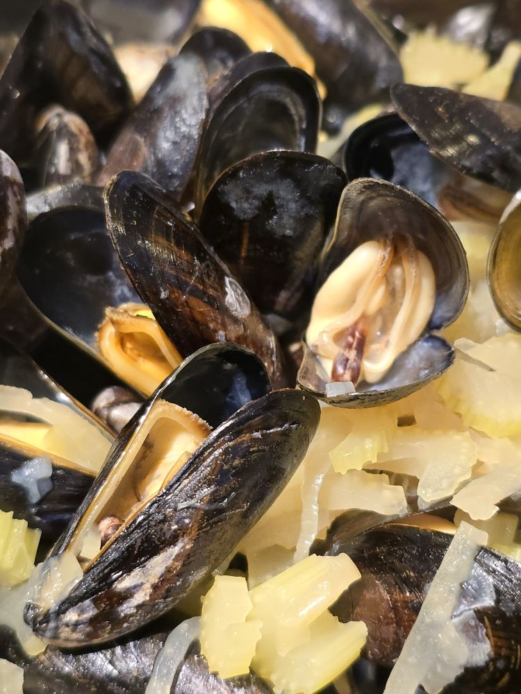 Mussels
